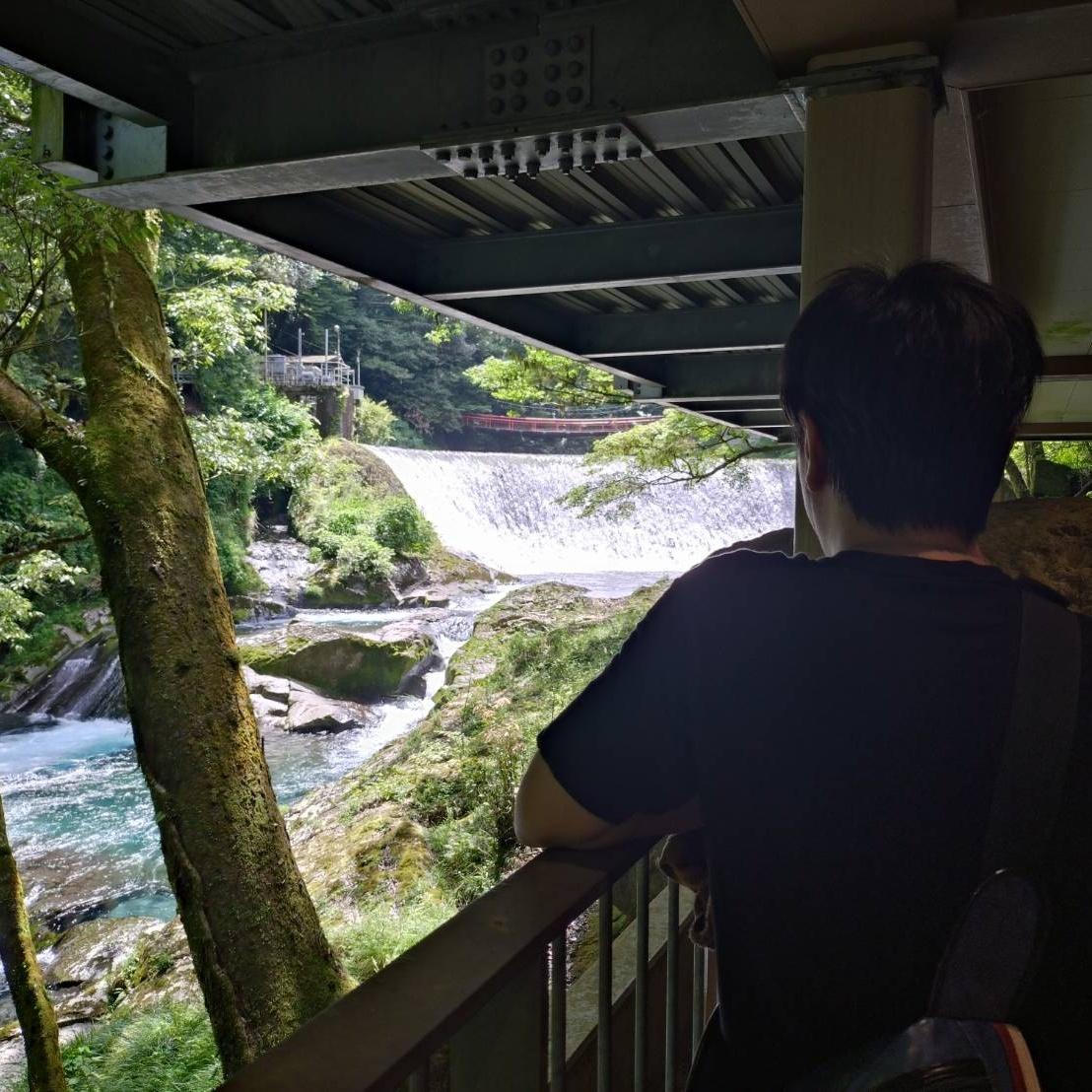 A man standing with his back to the camera, leaning on a railing and looking at a river and waterfall in a peaceful natural setting.