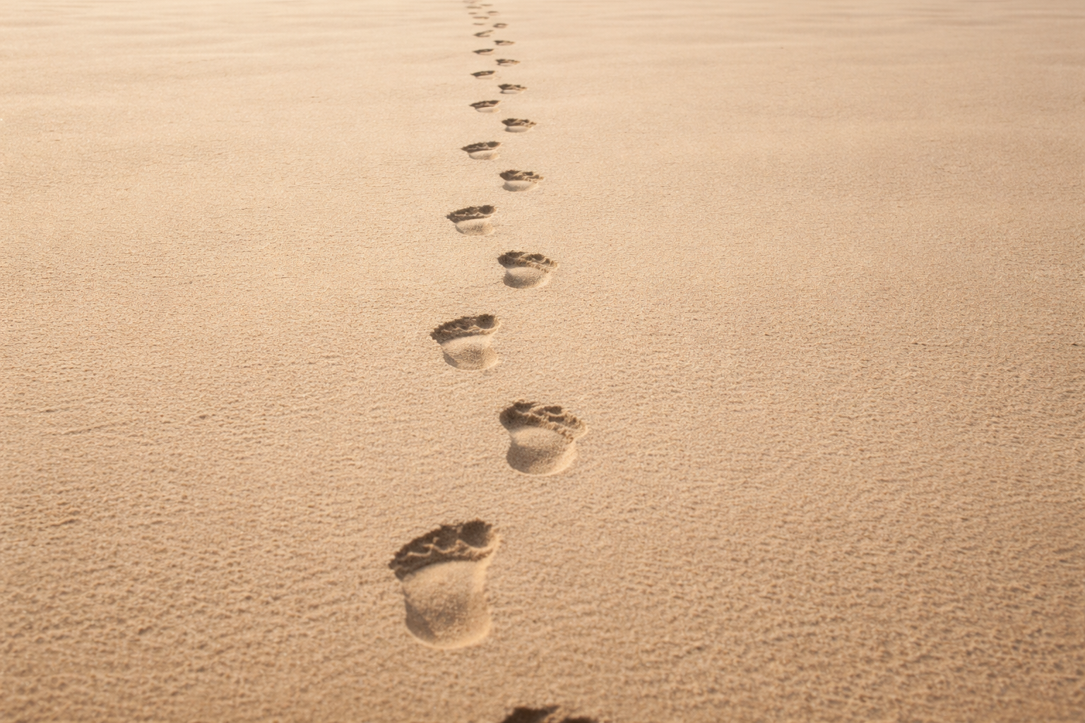 砂の上に同じ方向へ続く足跡。繰り返される行動を象徴している。